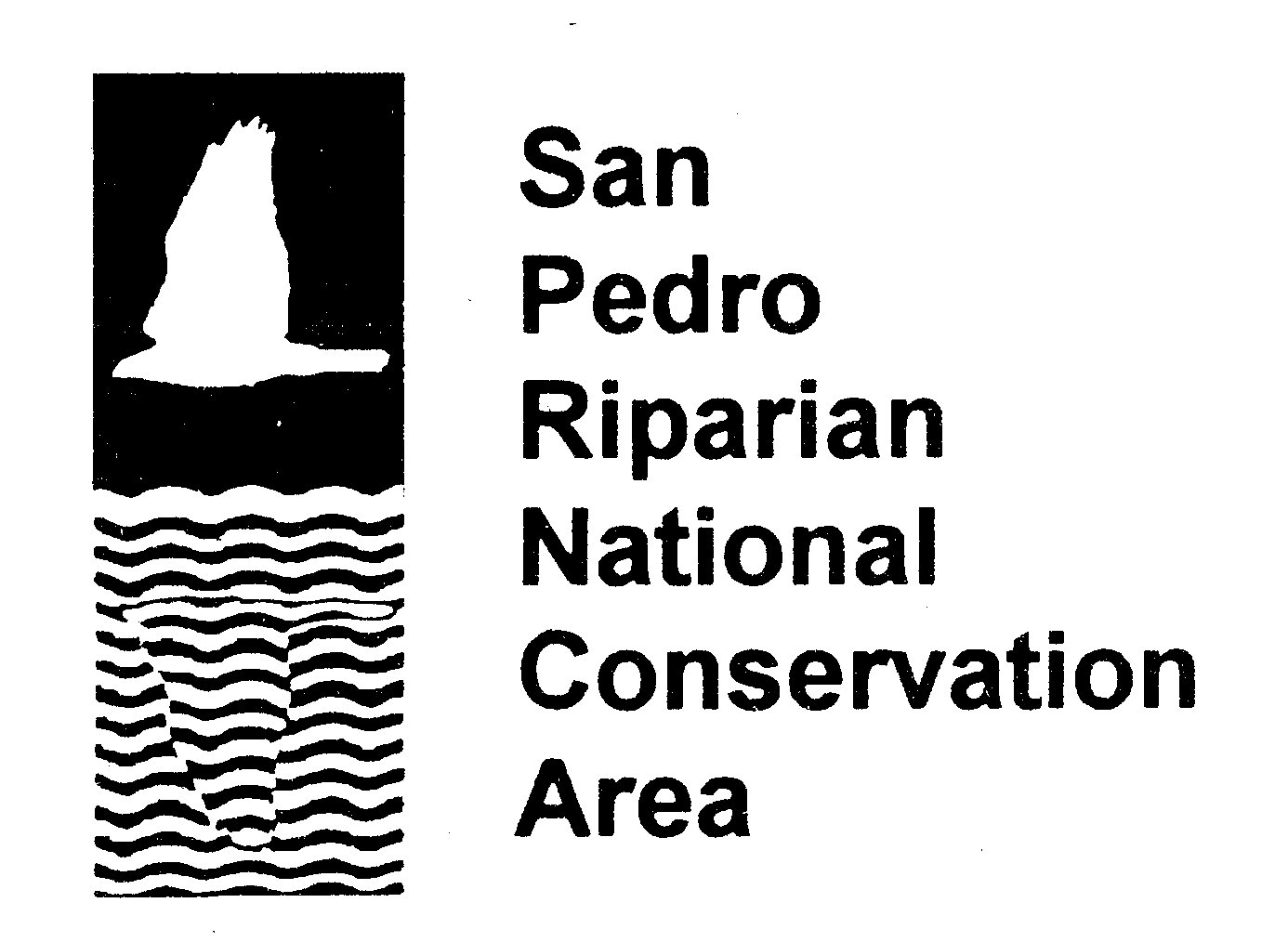 NCA Logo